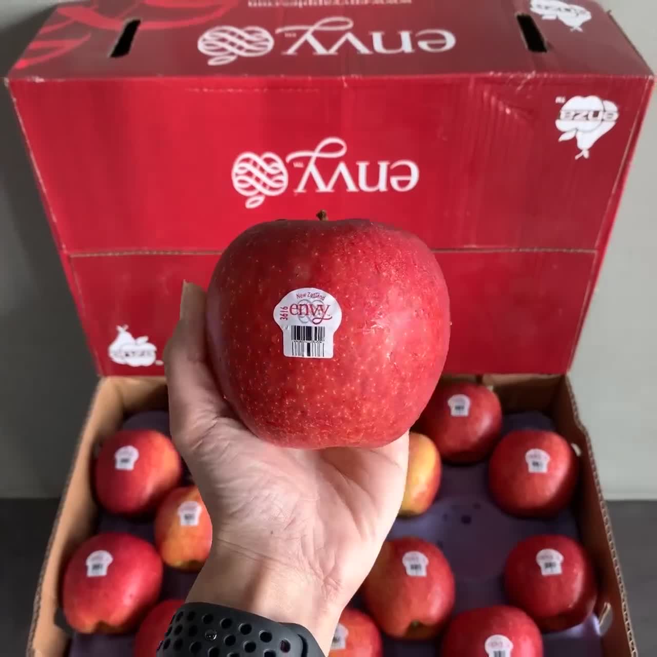 แอปเปิ้ล-envy-นำเข้าจาก-อเมริกา-นิวซีแลนด์-apple-envy-usa-new-zealand
