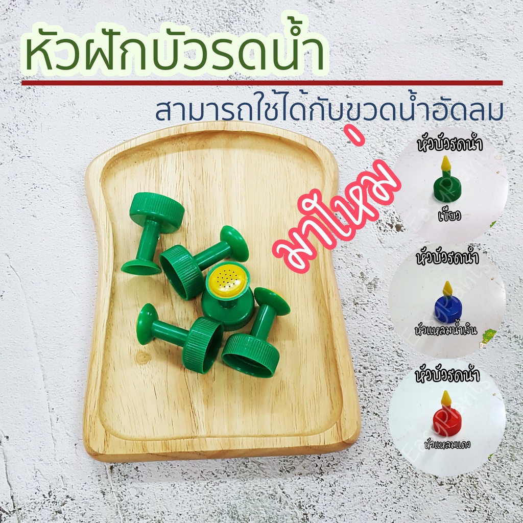 หัวฝักบัวรดน้ำ-ต่อกับขวดน้ำอัดลม-หัว-ฝักบัวรดน้ำ-ต้นไม้-หัวรดน้ำต้นไม้-หัวบัวรดน้ำ-หัวรดน้ำจิ๋ว