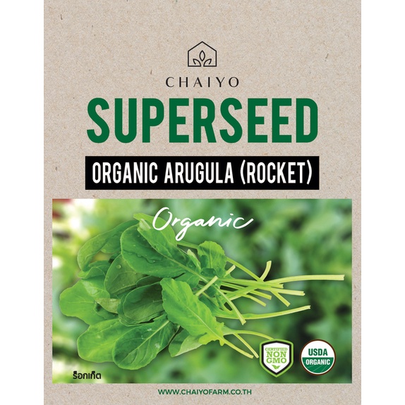 เมล็ด-arugula-rocket-organic-ร็อกเก็ต-ออร์แกนิค