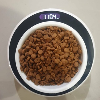 Dog Bowl - 2-in-1 Smart Bowl PET GEEK ชามอาหารสำหรับสุนัข
