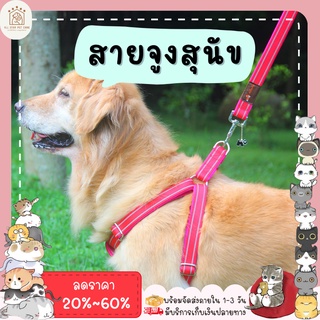 ♥ 𝗮𝗹𝗹𝘀𝘁𝗮𝗿 ♥ สายจูงสัตว์เลี้ยง สายจูงสุนัข สายจูงรัดอก หลายสี หลายไซส์ ราคาประหยัด สายจูง+สายรัดอก พร้อมส่ง