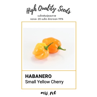 เมล็ดพริกที่เผ็ดที่สุดในโลก  Habanero Small Yellow Cherry