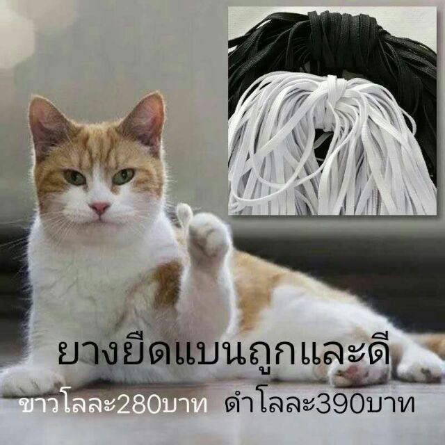 ยางยืดทำหน้ากาก5มิลขาวกับดำขายเป็นโล280บาท