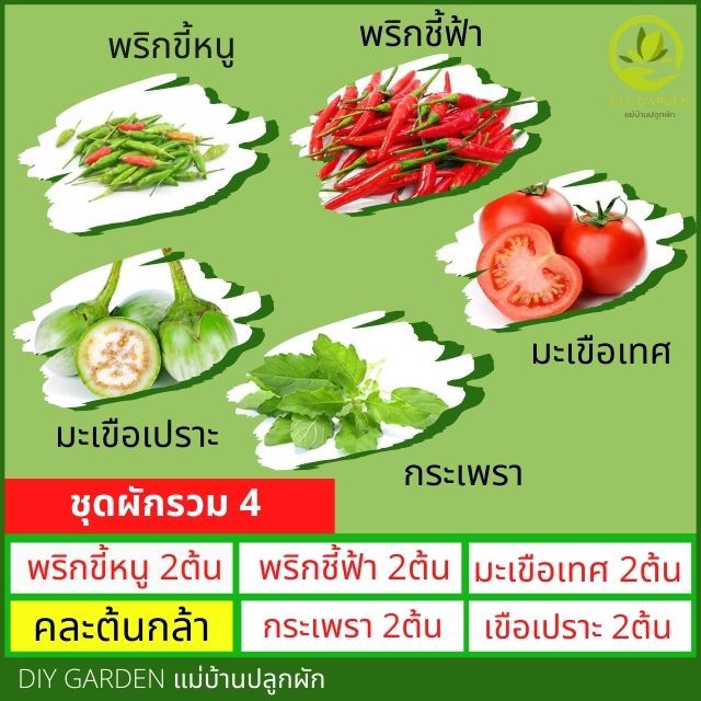 ชุด10แถม1-ต้นกล้าผักรวม-ปลูกผัก-ผักสวนครัว-ต้นกล้า-เมล็ดพันธุ์-เมล็ดพันธุ์ผัก-เมล็ดผัก-พร้อมส่ง-เก็บเงินปลายทาง