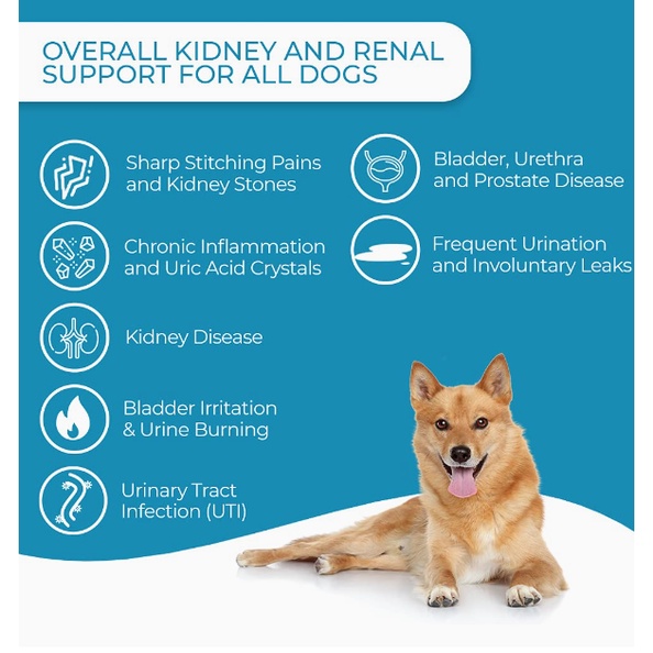 แบ่งขาย-สุนัข-urinary-support-อาหารเสริมดูแลกระเพาะปัสสาวะ-สำหรับสุนัข