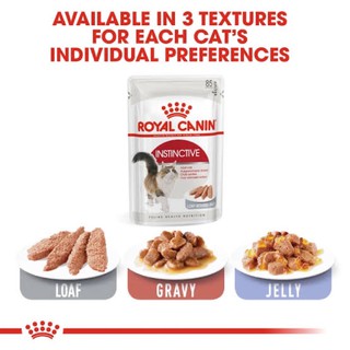 ภาพหน้าปกสินค้าRoyal Canin : Instinctive Gravy jelly loaf อาหารเปียก แมวโต อายุ 1 ปีขึ้นไป ที่เกี่ยวข้อง