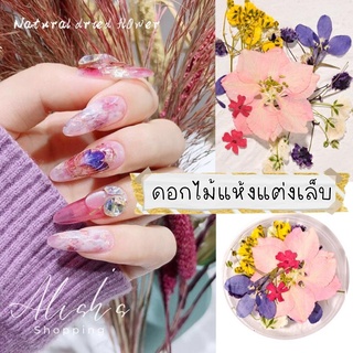 ดอกไม้แห้ง ตกแต่งเล็บ ตลับกลม มีให้เลือกหลายแบบ พร้อมส่ง