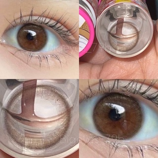 ✨Brown ขนาดมินิ  สายตาปกติ สายตาสั้น Mini คอนแทคเลนส์มินิ สีน้ำตาล ☀️กรองแสง uv ✔️จดทะเบียนถูกต้อง