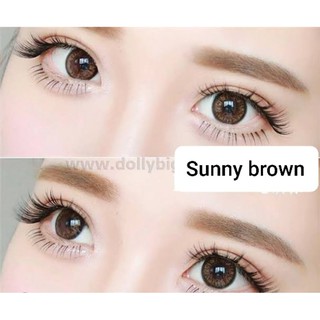 💖 Kitty Kawaii Sunny brown gray Contactlens บิ๊กอาย คอนแทคเลนส์ ราคาถูก แถมตลับฟรี