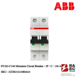 ABB SY202-C100 เซอร์กิตเบรกเกอร์ 100Amp 2P 10KA