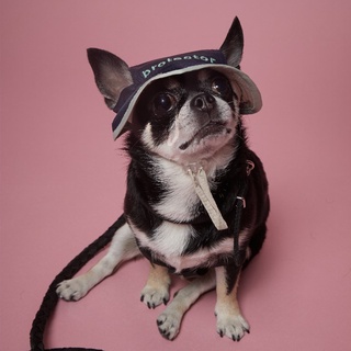 ภาพหน้าปกสินค้าหมวกบักเก็ตสัตว์เลี้ยง WHO ARE YOU (แบบปักลายสำเร็จ) น้องหมา น้องแมว ที่เกี่ยวข้อง