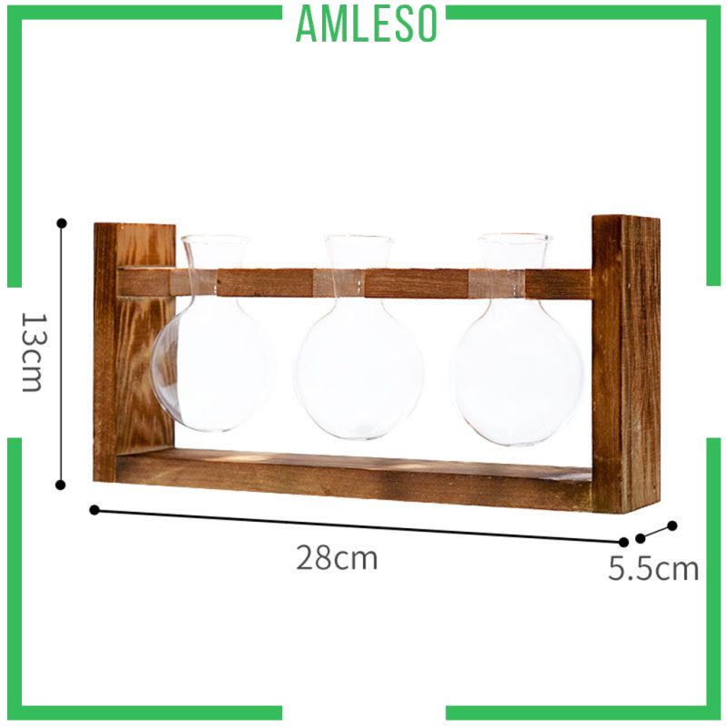 amleso-แจกันดอกไม้กระถางต้นไม้พร้อมขาตั้ง-terrarium