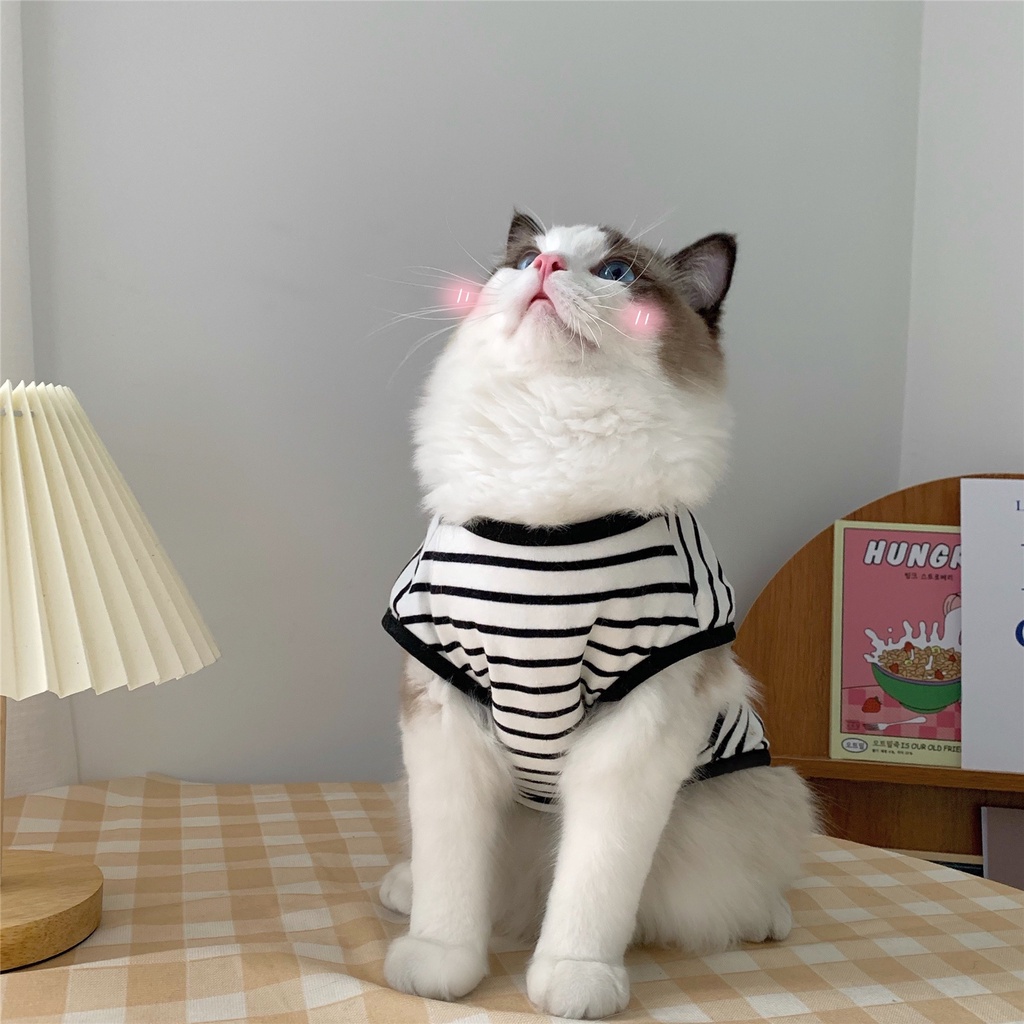 ภาพหน้าปกสินค้าเสื้อกั๊ก แบบบาง แฟชั่นฤดูร้อน สําหรับสัตว์เลี้ยง สุนัข แมว /เสื้อแมว
