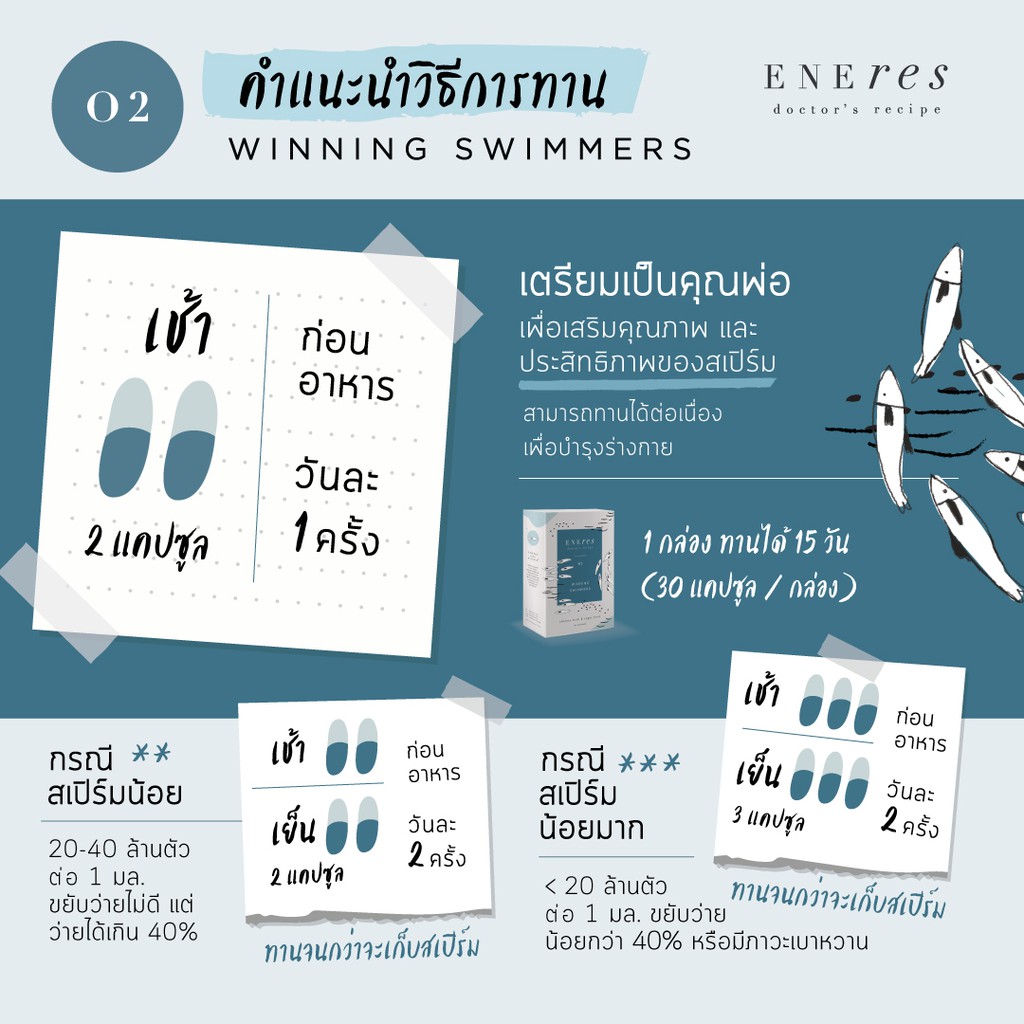 ภาพสินค้ารับเงินคืน 111 บ. เก็บโค้ดที่หน้าหลัก )) ENEres02 (Winning Swimmers)เตรียมพร้อมเป็นคุณพ่อ บำรุงร่างกายผู้ชาย บำรุงพลังงา จากร้าน enereslifebalance บน Shopee ภาพที่ 8