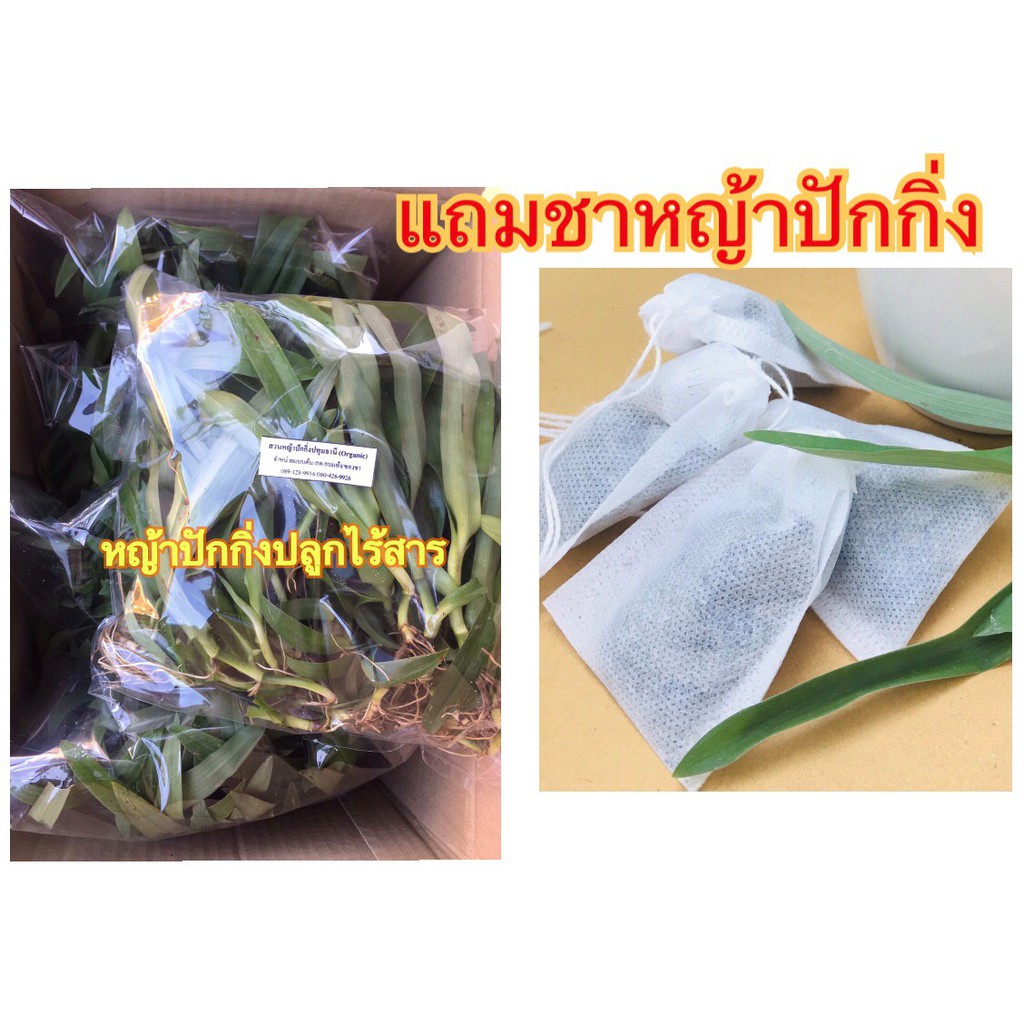 หญ้าปักกิ่ง-ส่งพร้อมราก-ขนาด250-กรัม-organic100