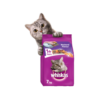 [ลด 30% โค้ด WOW66] WHISKAS วิสกัส อาหารแมว ชนิดแห้ง แบบเม็ด – อาหารแมว สูตรแมวโต, 7 กก. สำหรับแมวโตอายุ 1 ปีขึ้นไป
