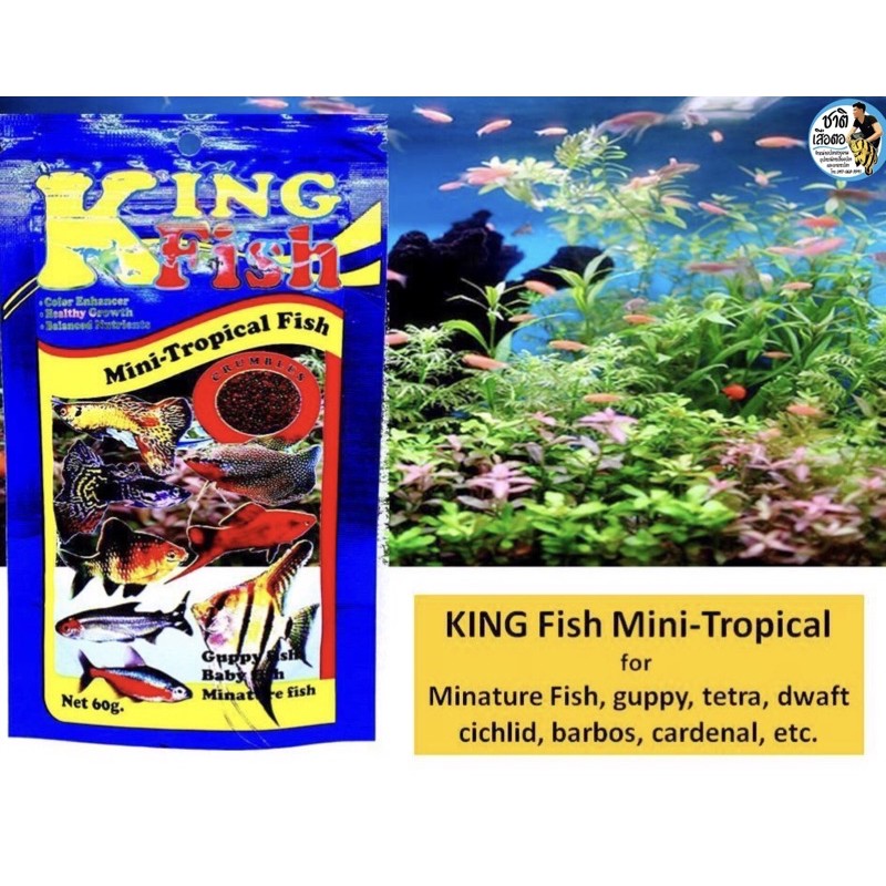 อาหารปลา-king-fish-อาหารปลาสำหรับปลาขนาดเล็กทุกชนิด-ขนาด-60g