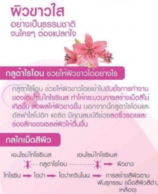 ส่งฟรี-activite-giffarine-แอคทิไวท์-กิฟฟารีน-ปรับผิวขาว-ผิวขาวอมชมพู-เนียน-กระจ่างใส-แอลกลูต้าไธโอน