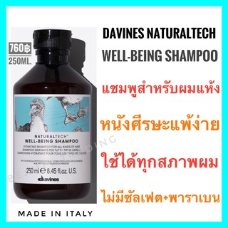 🔥ดาวิเนส แชมพูสำหรับผมแห้ง หนังศรีษะแพ้ง่าย🔥Davines Naturaltech Well-Being Shampoo 250ml.
