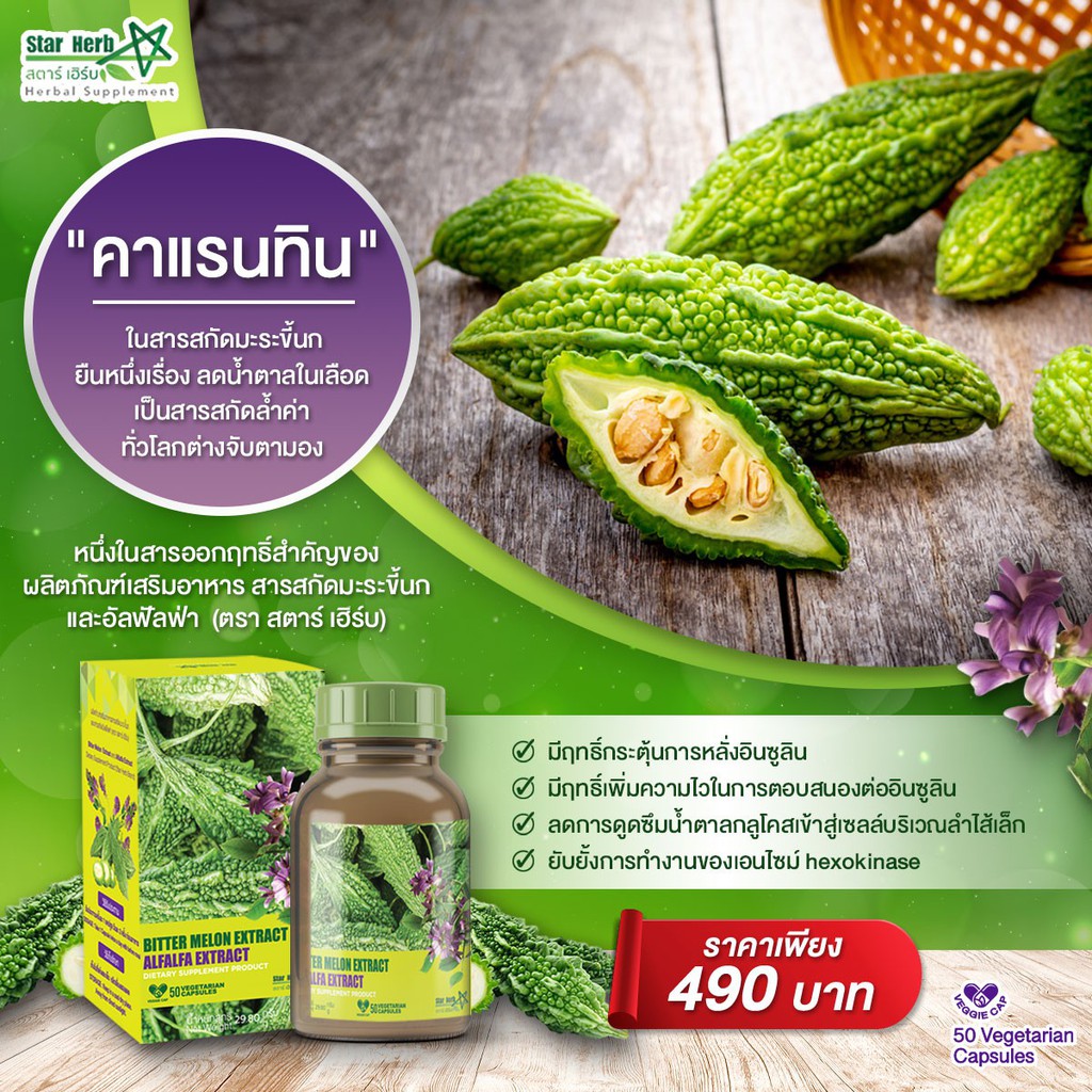 ภาพสินค้าStar Herb ผลิตภัณฑ์เสริมอาหาร Alfalfa สารสกัดจากมะระขี้นก สมุนไพรอันดับ 1 ลดน้ำตาลในเลือด เบาหวาน ความดัน จากร้าน sasimaarj บน Shopee ภาพที่ 8