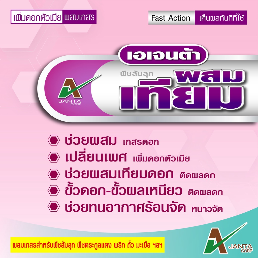 ผสมเกสร-เปลี่ยนเพศ-ติดผลดก-เอเจนต้า-ผสมเกสร-พืชล้มลุก-ขั้วเหนียว-ต้นสมบูรณ์-ทนอากาศร้อนจัด-หนาวจัด-ขนาด-1-ลิตร