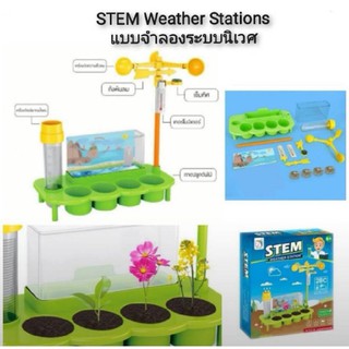 STEM Weather Stations ชุดแบบจำลองระบบนิเวศ