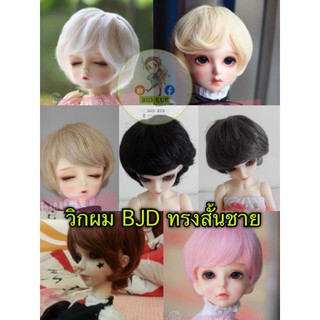 Pre-Order​ วิกผม BJD ชายสั้น 1/6 1/4 1/3