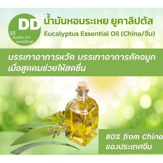 น้ำมันหอมระเหยยูคาลิปตัส / Eucalyptus Oil / น้ำมันหอมระเหยสำหรับเครื่องสำอาง