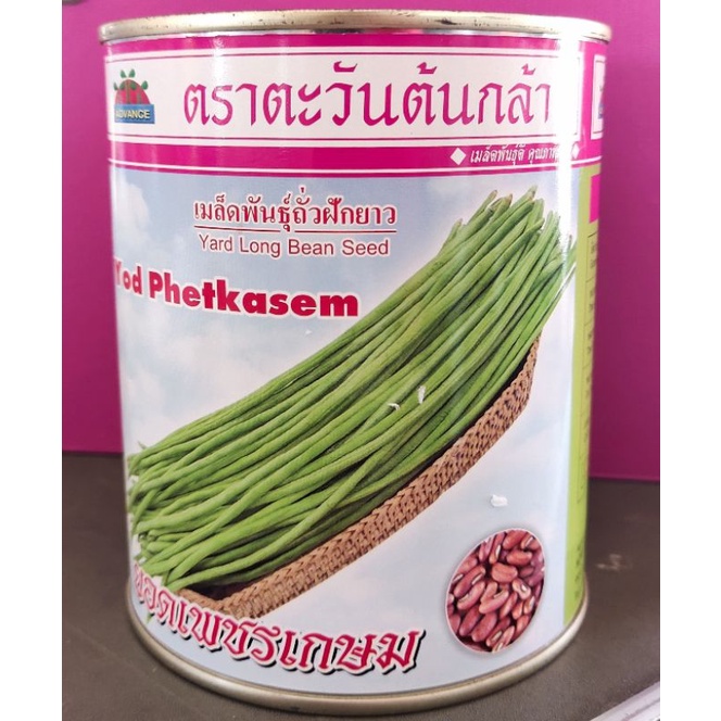 เมล็ดพันธุ์ถั่วฝักยาว-ตราตะวันต้นกล้า-พันธุ์ยอดเพชรเกษม