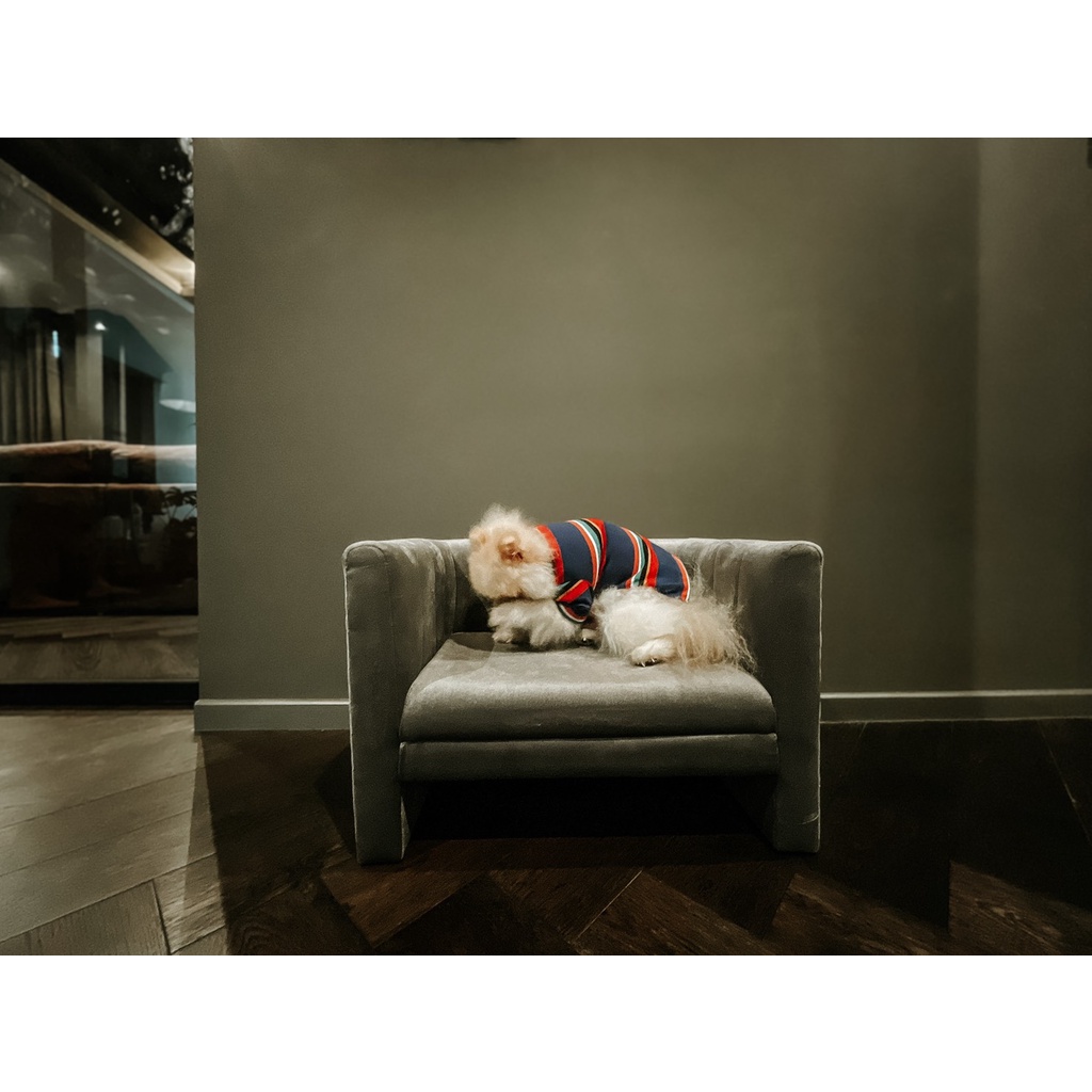 sofa-bed-เตียงนอนสุนัข-โซฟาน้องหมา-รุ่นaether-สีเทากำมะหยี่