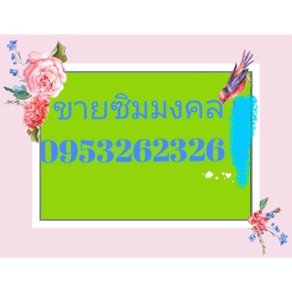 ซิมมงคล เลขสวย 095-3262326