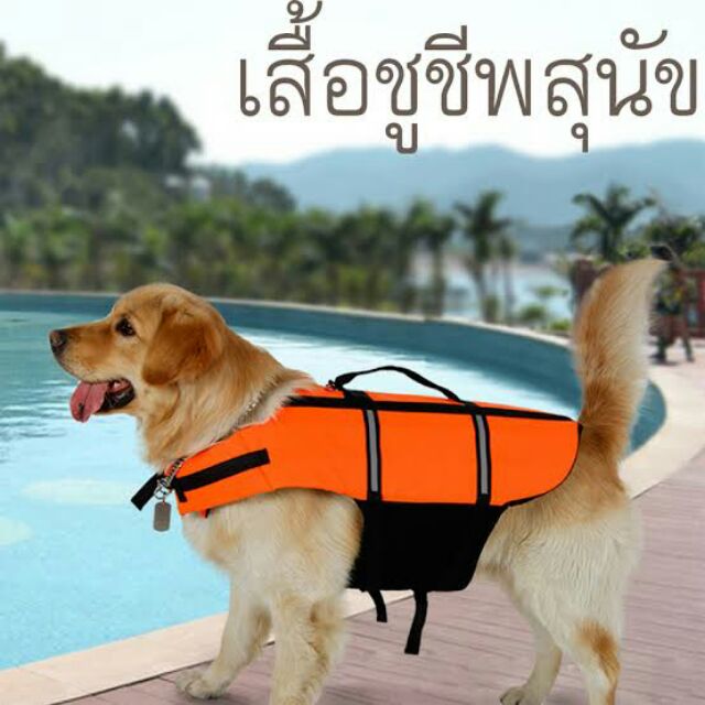 เสื้อชูชีพสุนัขใส่ว่ายน้ำ