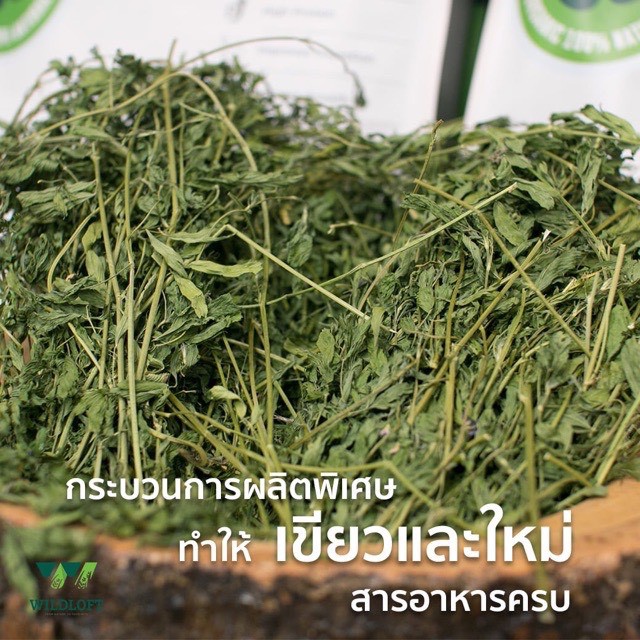 อัลฟาฟ่า-wildloft-premium-alfalfa