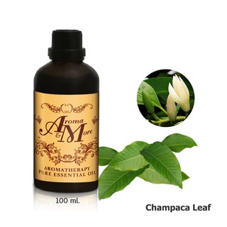 Aroma&amp;More Champaca Leaf (Michelia Alba) Essential Oil 100% / น้ำมันหอมระเหยใบจำปี 100% China 100ML