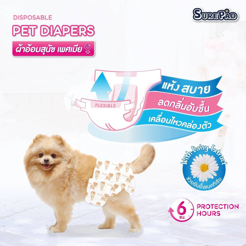 ผ้าอ้อมสุนัข-เพศเมีย-ฝึกขับถ่าย-เก็บกลิ่นได้ดี-surepad-pet-diapers