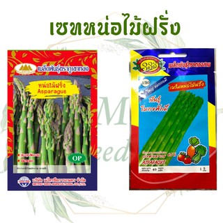 เมล็ดพันธุ์ หน่อไม้ฝรั่ง 20-40 เมล็ด