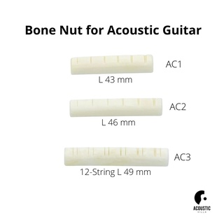 นัทกระดูก Bone Nut for Acoustic Guitar