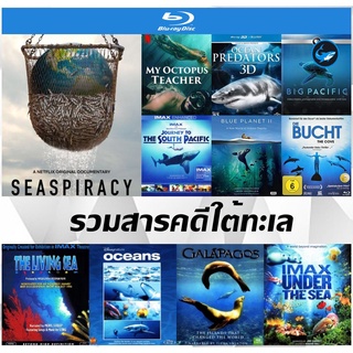 Bluray (บลูเรย์) รวมสารคดีใต้ท้องทะเล - Seaspiracy (2021) ใครทำร้ายทะเล | My Octopus Teacher (2020) บทเรียนจากปลาหมึก