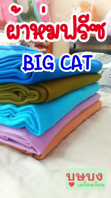 ผ้าห่มฟลีช-ผ้าห่มรีสอร์ท-บิ๊กแคท-ผ้าห่ม-big-cat-bigcat-สีพื้น-ม่วง-ฟ้า-เขียว-น้ำตาลอ่อน-น้ำเงิน-60x80-นิ้ว-ผ้าห่มฟรีซ