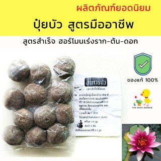 ปุ๋ยบัว สูตรมืออาชีพใช้กัน สูตรสำเร็จ ฮอร์โมนเร่งราก ต้น ดอก