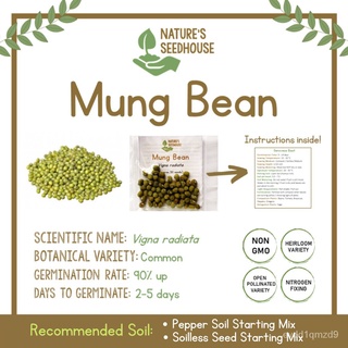 Green Mung Bean Seeds Green Munggo Seeds Vegetable Seeds Plant Seeds鲜花/生菜/园艺/苹果/母婴/男装/头饰/文胸/通心菜/上衣/ CS96