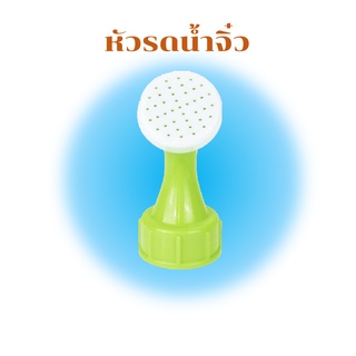 ที่รดน้ำจิ๋ว บัวรดน้ำขนาดเล็ก ใช้กับขวดน้ำอัดลม บัวรดน้ำแคคตัส หัวบัวรดน้ำ หัวรดน้ำ ที่รดน้ำจิ๋ว