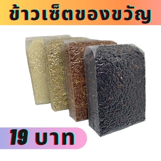 ภาพหน้าปกสินค้าข้าวไดโนเสาร์ หอมมะลิ แท้ 100% ถูกที่สุด ขนาด 250 กรัม ที่เกี่ยวข้อง