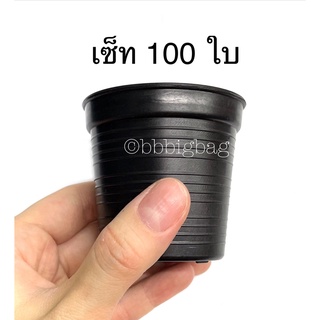 กระถางแคคตัส ปากกว้าง 2.5 นิ้ว กระถางกระบองเพชร กระถางต้นไม้ เซ็ท 100 ใบ