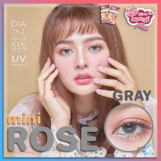 💖 Kitty Kawaii ๑ mini Rose ( Roze ) สายตา -00 ถึง -1000 brown gray Contactlens  บิ๊กอาย คอนแทคเลนส์ ราคาถูก แถมตลับฟรี