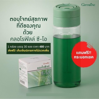 ฟรี กระบอกน้ำ อาหารเสริม วิตามิน คลอโรฟิลล์ ซี-โอ กิฟฟารีน | DETOX ผิวกระจ่างใส - สารพิษในเลือด - ระบบลำไส้ - ลดกลิ่นตัว