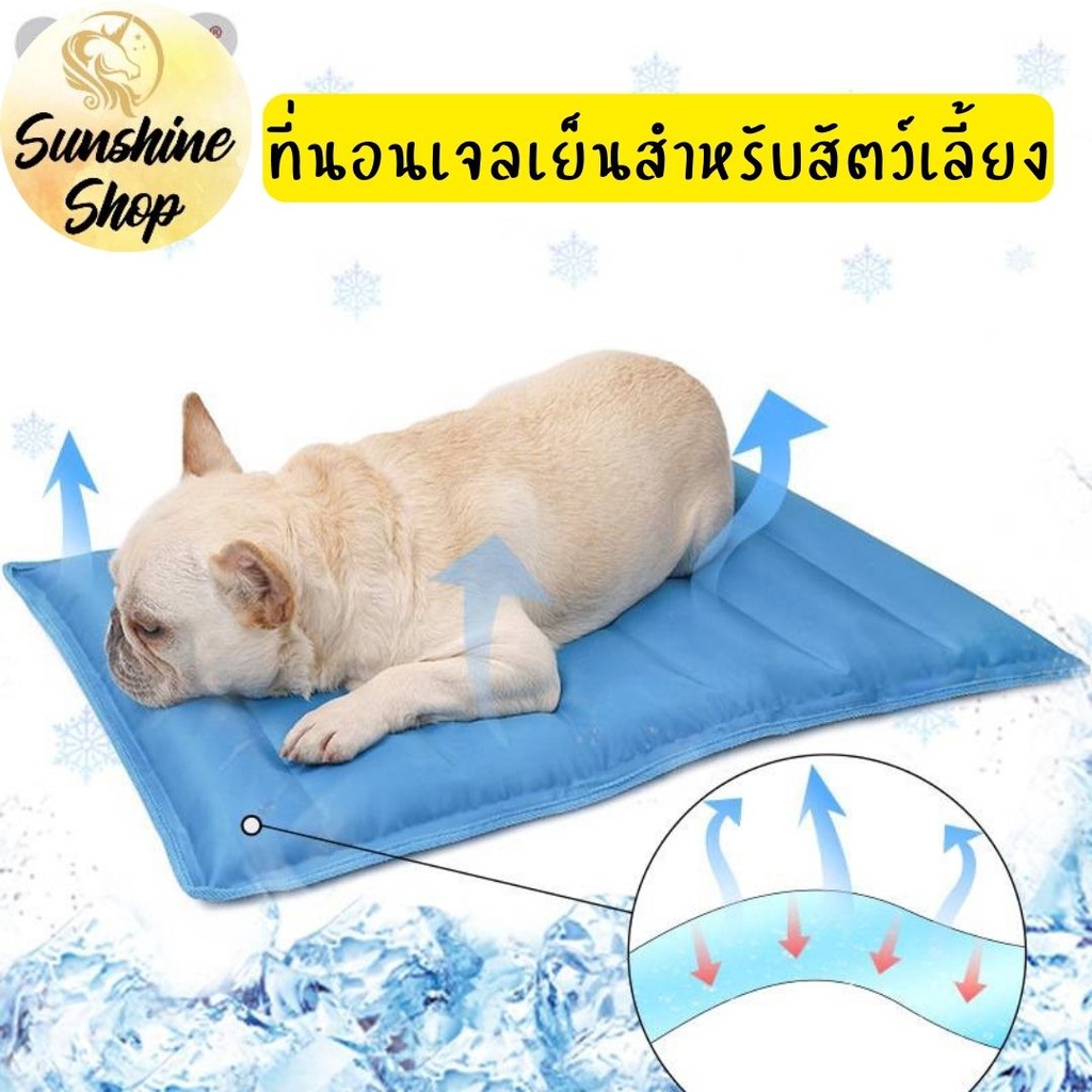 Pet Cool Mat Gel S/L