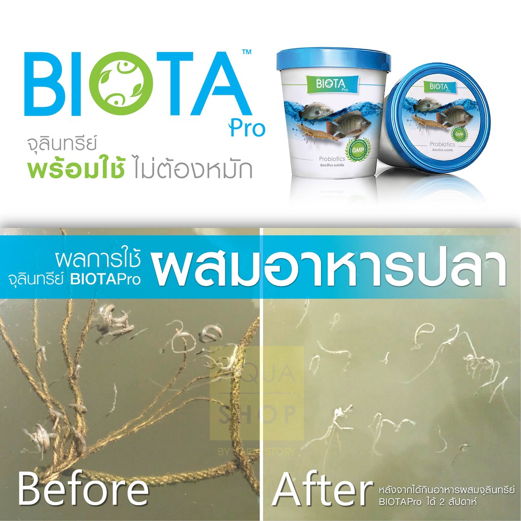 biota-pro-ผสมอาหาร-กุ้ง-ปลากินดี-แข็งแรง-โตไว-กำไรงาม