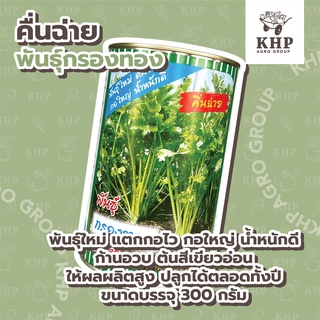 เมล็ดพันธุ์ คื่นฉ่าย 300 g. กอใหญ่ ก้านอวบ สีเขียวอ่อน ให้ผลผลิตสูง ปลูกได้ทั้งปี พันธุ์กรองทอง ขึ้นช่าย คื่นช่าย