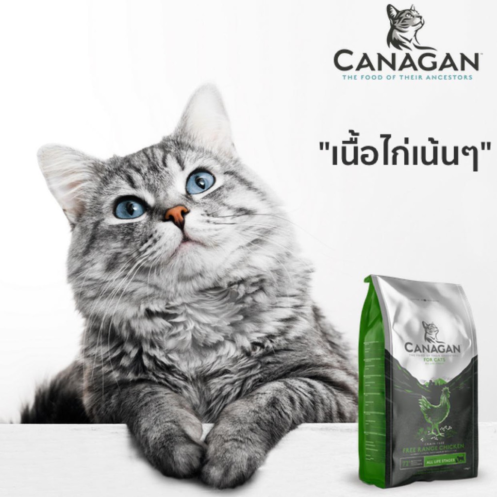 canagan-cat-salmon-1-5-kg-คานาแกน-อาหารแมวโต-อาหารลูกแมว-แมว-อาหารแมว-อาหารเม็ดแมว